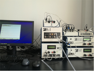 SSI实验动物能量代谢测量系统